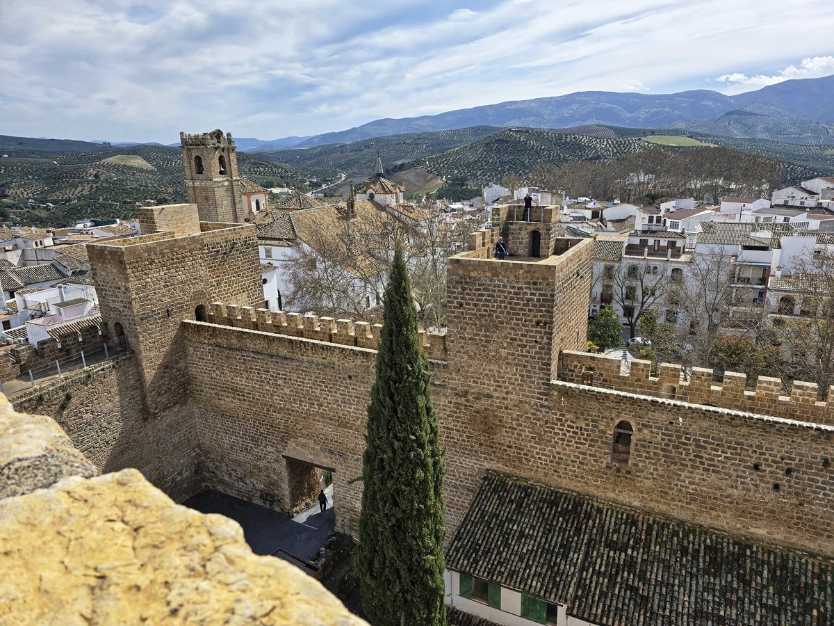 Alícia Bea tweet media