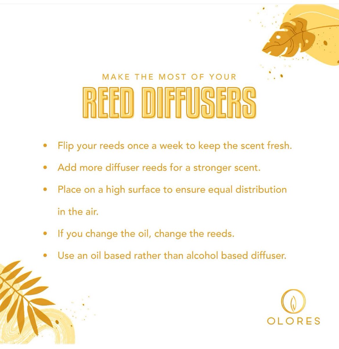 OloresNG's tweet photo. Diffuser care 101
 #diffusercare #diffusertips  #oloresng https://t.co/NJEkMkWphe