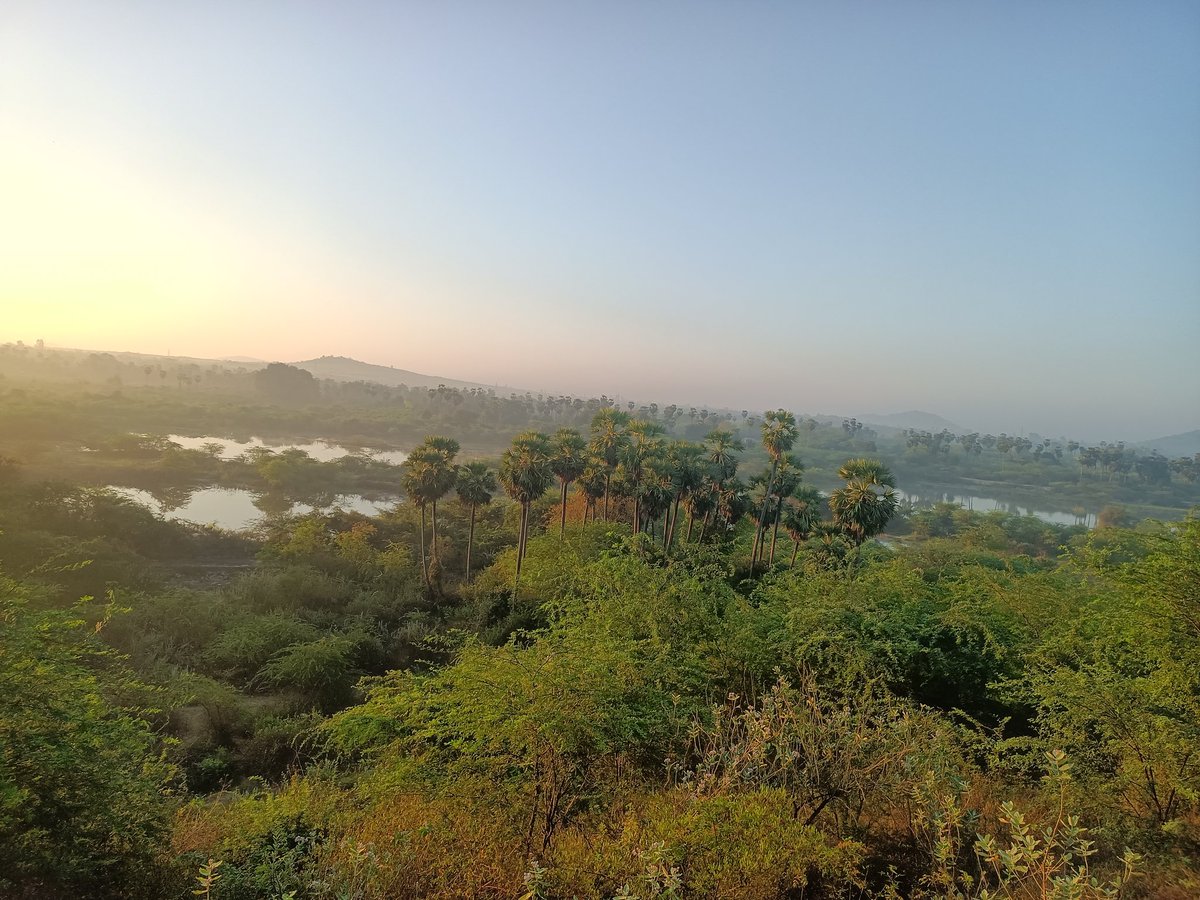 मुश्किलें आपके जीवन में नहीं आतीं, बल्कि आपकी क्षमताओं को परखने के लिए आती हैं। बिना संघर्ष के कोई महान सफलता नहीं मिलती।
