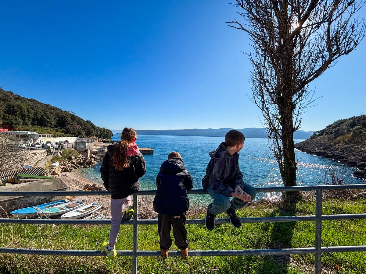 ModernaKmetica tweet media