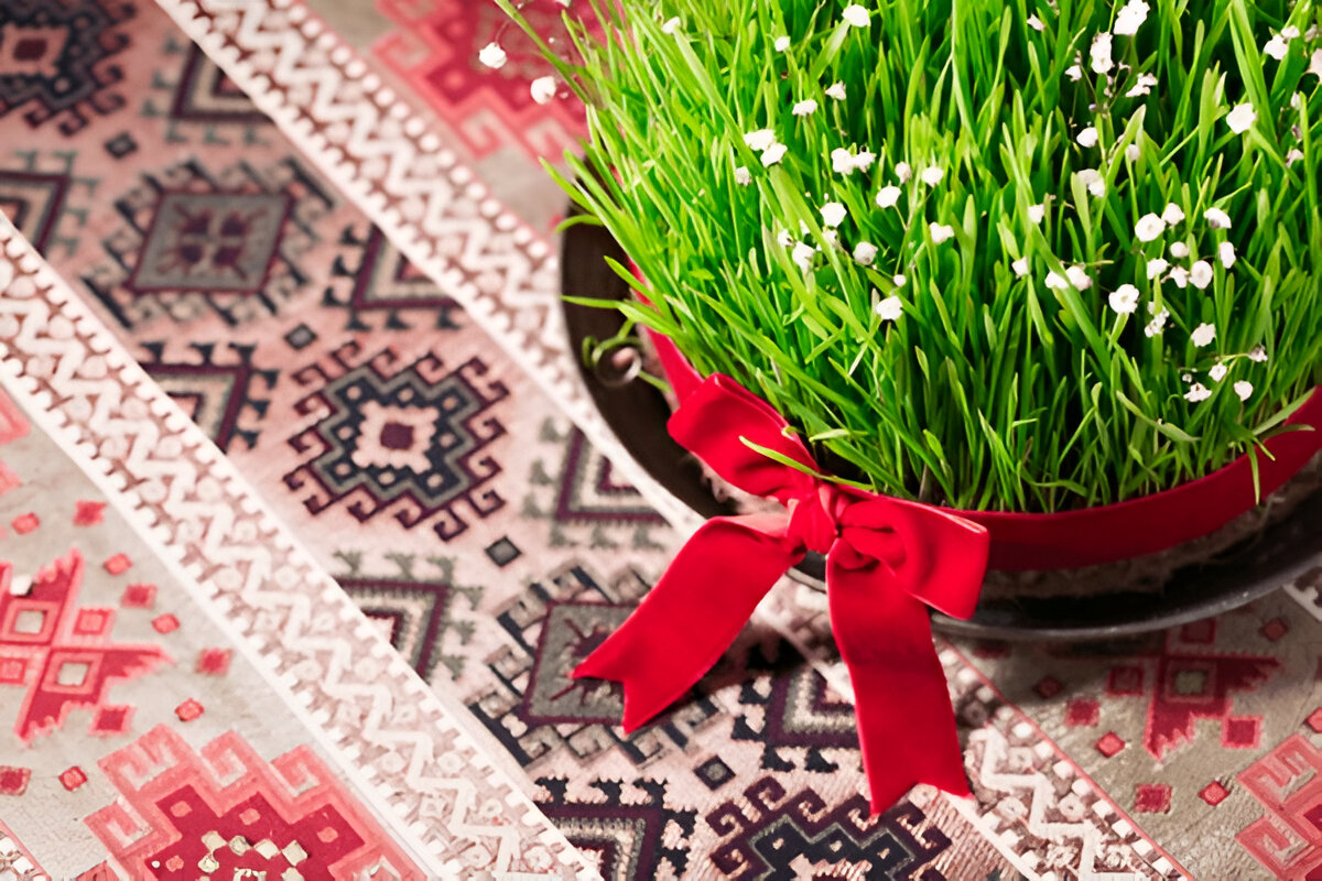 porya_nj's tweet photo. 🌸سال نو مبارک #نوروز #نوروز_1404
Happy Nowruz https://t.co/XcIkNZpOAp