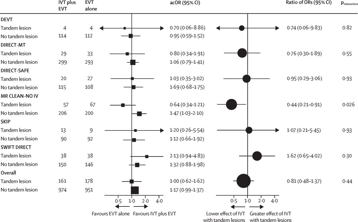 Fabiano (@fwcavalcante) on Twitter photo 🚨 New paper alert! 🚨
Should carotid tandem lesions influence the decision to give IVT for patients that can directly undergo EVT? New IRIS study in Lancet Neurology: authors.elsevier.com/a/1knz55FFzL42…
#Stroke #EVT #IVT <a href="/kiliantreurniet/">Kilian Treurniet</a> <a href="/CheesemakerMD/">Johannes Kaesmacher</a> <a href="/manonkappelhof/">Manon Kappelhof</a> <a href="/FishingNeurons/">Urs Martin Fischer</a> 🚨 New paper alert! 🚨
Should carotid tandem lesions influence the decision to give IVT for patients that can directly undergo EVT? New IRIS study in Lancet Neurology: authors.elsevier.com/a/1knz55FFzL42…
#Stroke #EVT #IVT <a href="/kiliantreurniet/">Kilian Treurniet</a> <a href="/CheesemakerMD/">Johannes Kaesmacher</a> <a href="/manonkappelhof/">Manon Kappelhof</a> <a href="/FishingNeurons/">Urs Martin Fischer</a>