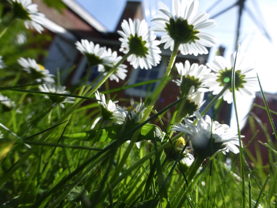 Rewilding projects don't have to be done on a large scale. Small spaces such as gardens can also be made wilder to benefit nature - and simple actions, like leaving some grass to grow long, can really boost biodiversity.
More ideas: bit.ly/4bFeS0g
#worldrewildingday