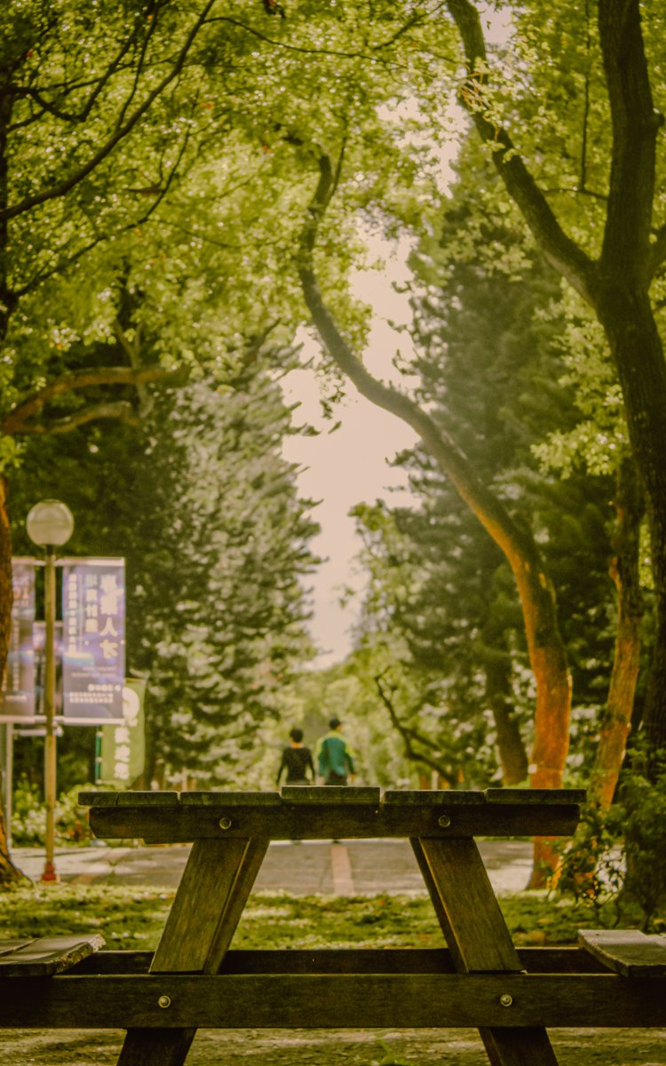 springthiief's tweet image. shots from my foreign student exchange program in taiwan ... i cut my hair short and the rest of the pics i took nd color graded myself