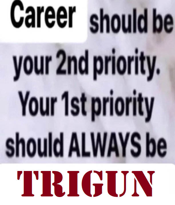 stargazing senza。 tweet media