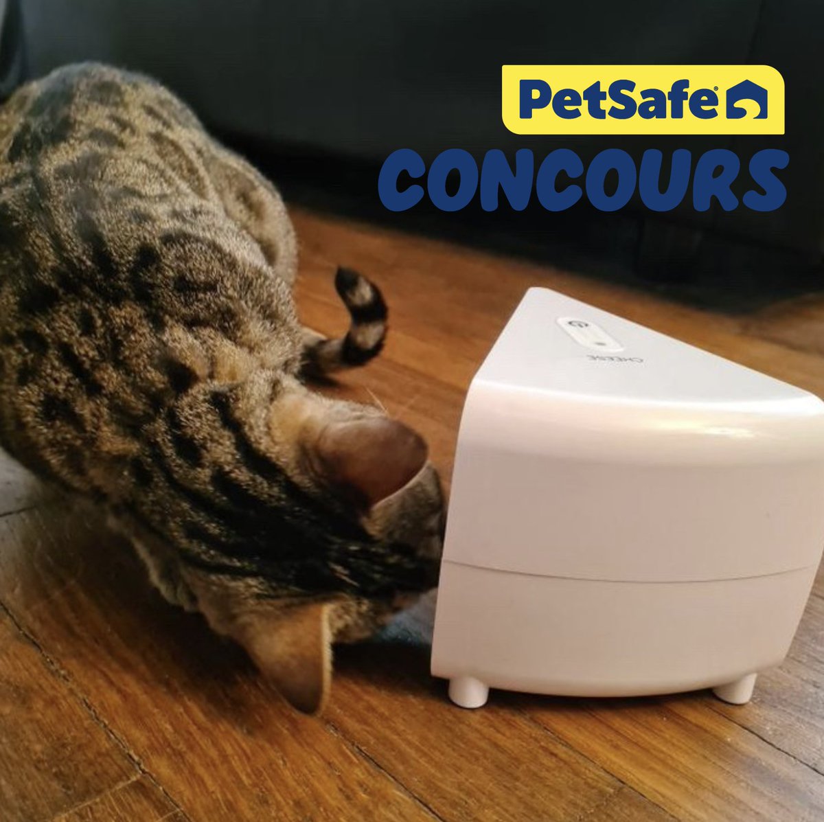 PetSafeFR's tweet photo. Follow &amp; Retweet @PetSafeFR
La journée mondiale du Fromage est pour bientôt ! À cette occasion on fait gagner à l'un d'entre vous notre fameux jouet cheese pour le plaisir de votre chat !
1 gagnant sera désigné par TAS le 26 mars 2025.
*concours réservé à la 🇫🇷 &amp; à la 🇧🇪 https://t.co/MgHlgCZtY7
