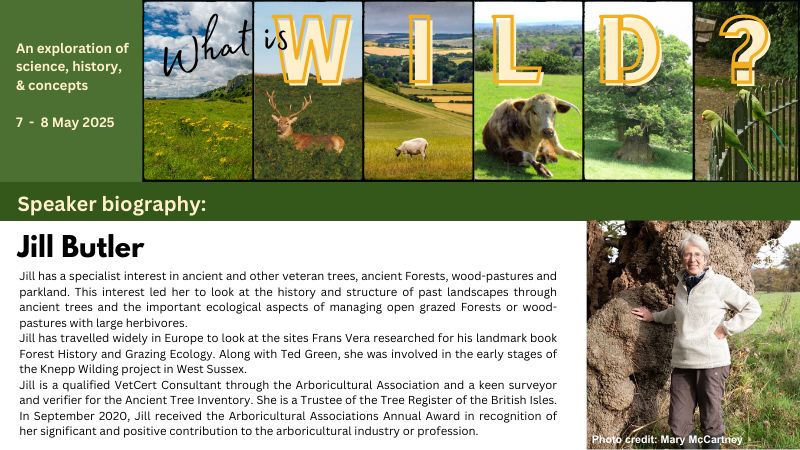 We are delighted to have Jill Butler speaking at our What is Wild? conference. A founding member of the Ancient Tree Forum, Jill is a renowned expert in ancient and veteran tree conservation. 

ukeconet.org/what-is-wild.h…

#AncientTrees #Conservation #TreeProtection #rewilding