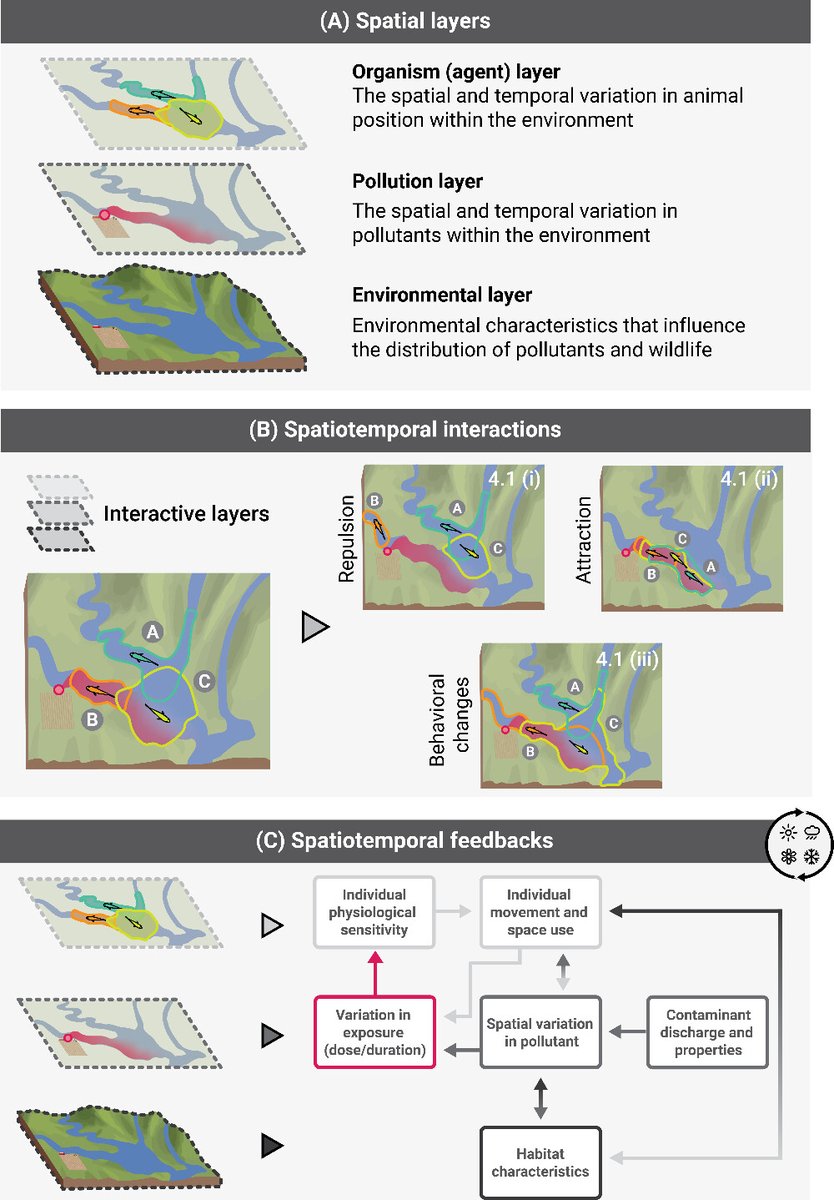 Michael Bertram (@michaelgbertram) on Twitter photo Great to see our new paper on the spatiotemporal dimension of wildlife–pollution interactions out in ES&T Letters <a href="/ACSPublications/">ACS Publications</a>
Fantastically led by <a href="/JackAndrewBrand/">Jack Brand</a> and <a href="/Martin_J_M_34/">Jake M Martin</a>
👉pubs.acs.org/doi/10.1021/ac… Great to see our new paper on the spatiotemporal dimension of wildlife–pollution interactions out in ES&T Letters <a href="/ACSPublications/">ACS Publications</a>
Fantastically led by <a href="/JackAndrewBrand/">Jack Brand</a> and <a href="/Martin_J_M_34/">Jake M Martin</a>
👉pubs.acs.org/doi/10.1021/ac…