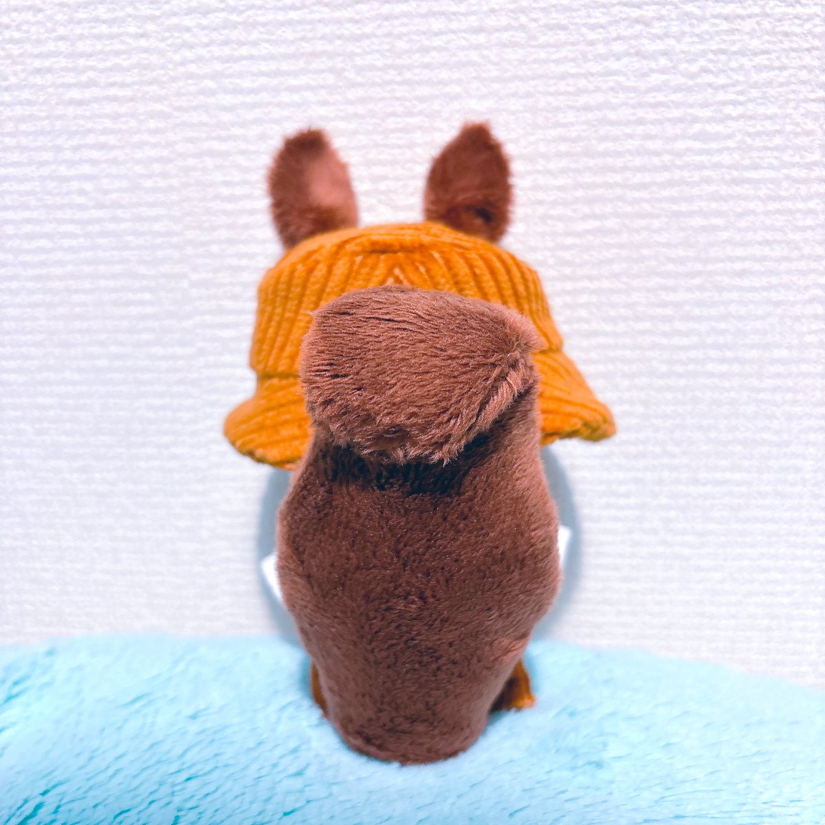 poitto75's tweet photo. おこめさん（@okome_nu ）のりすちゃんになれるお洋服をお迎えさせていただきました！🐿️
あまりにもかわいいりすちゃん……🥹✨秋になったらどんぐり拾いに行きたいねぇ🫶
素敵な作品をありがとうございます🙏💗 https://t.co/PbmD4hAYRc