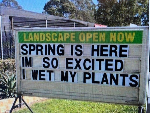 Clever