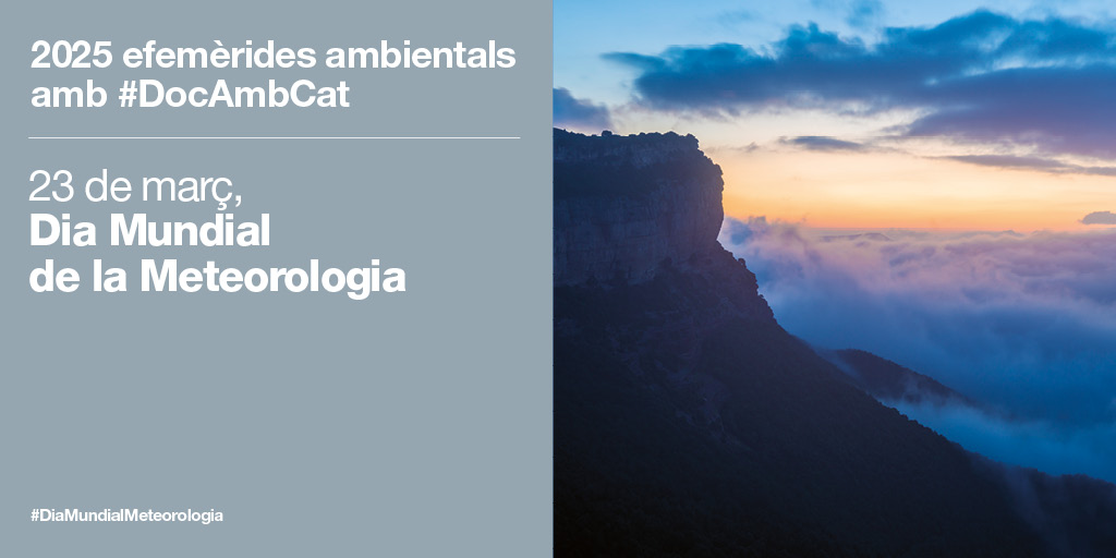 Museu de Ciències Naturals de Granollers (@mcngranollers) on Twitter photo El Centre de Documentació del <a href="/montseny/">Parc Natural i Reserva de la Biosfera del Montseny</a> amb #DocAmbCat i <a href="/xarxadeparcs/">Xarxa de Parcs Naturals</a> celebra el #diamundialmeteorologia al <a href="/mcngranollers/">Museu de Ciències Naturals de Granollers</a>
Taller de l'Estació meteorològica
📷 goo.su/l5y4HW
#efemeridesambientals #parcsibiblios #sommontseny #serveimeteorologiacatalunya El Centre de Documentació del <a href="/montseny/">Parc Natural i Reserva de la Biosfera del Montseny</a> amb #DocAmbCat i <a href="/xarxadeparcs/">Xarxa de Parcs Naturals</a> celebra el #diamundialmeteorologia al <a href="/mcngranollers/">Museu de Ciències Naturals de Granollers</a>
Taller de l'Estació meteorològica
📷 goo.su/l5y4HW
#efemeridesambientals #parcsibiblios #sommontseny #serveimeteorologiacatalunya