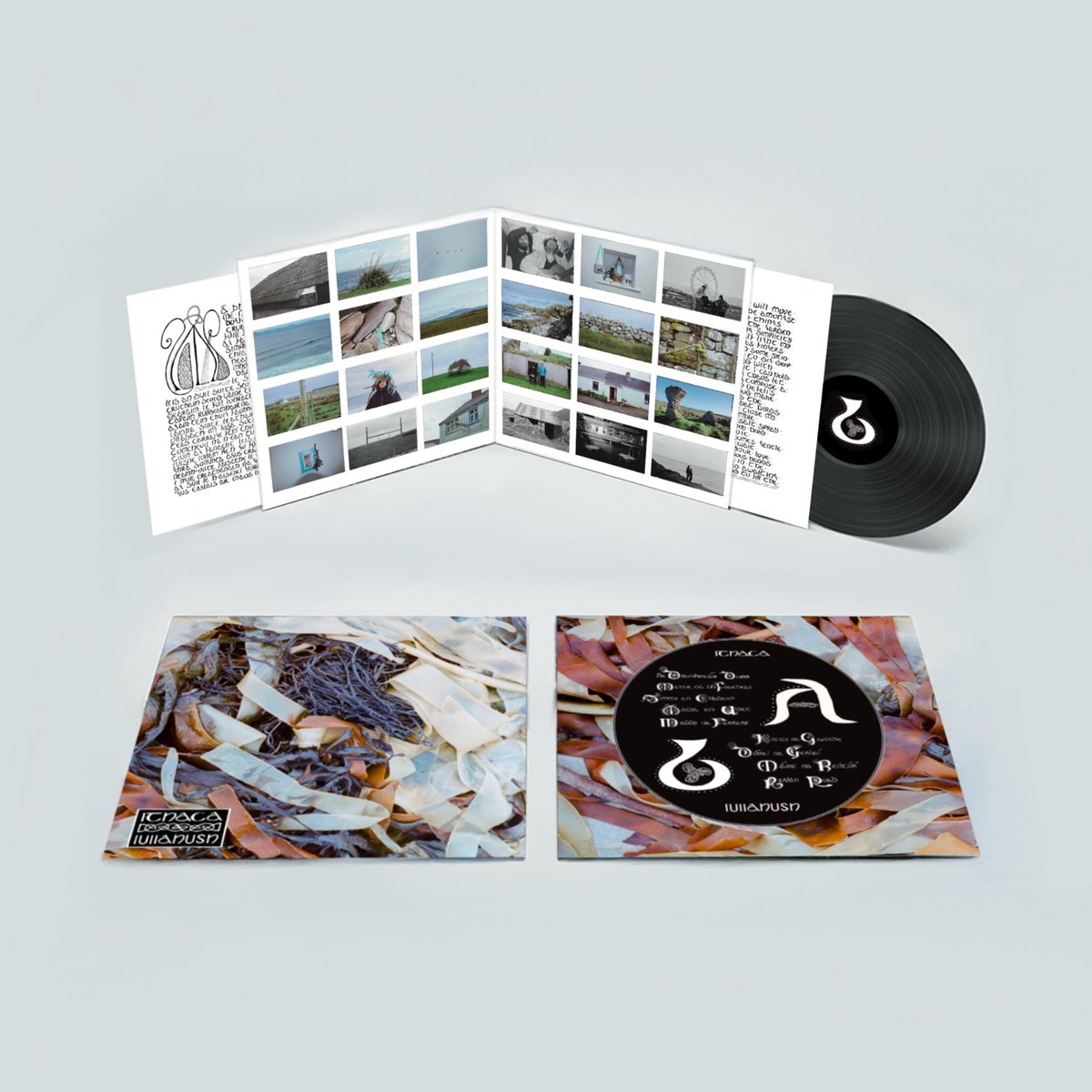 lullahush (@lullahush) on Twitter photo 'Ithaca' out April 11th on <a href="/futureclassic/">Future Classic</a>
Pre-order vinyl here: lullahush.bandcamp.com/album/ithaca-2
🪸 'Ithaca' out April 11th on <a href="/futureclassic/">Future Classic</a>
Pre-order vinyl here: lullahush.bandcamp.com/album/ithaca-2
🪸