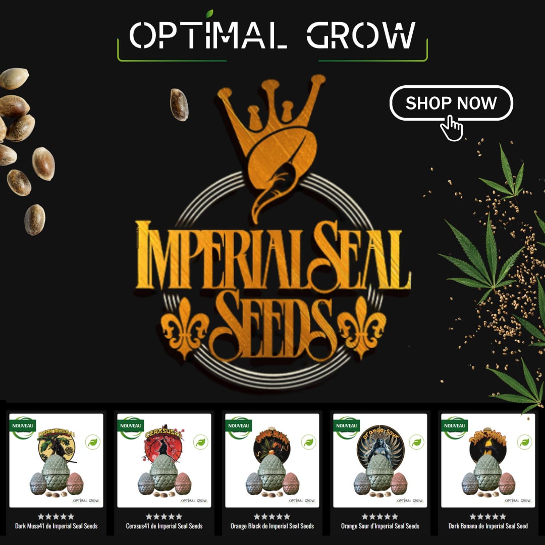 Optimal Grow tweet media