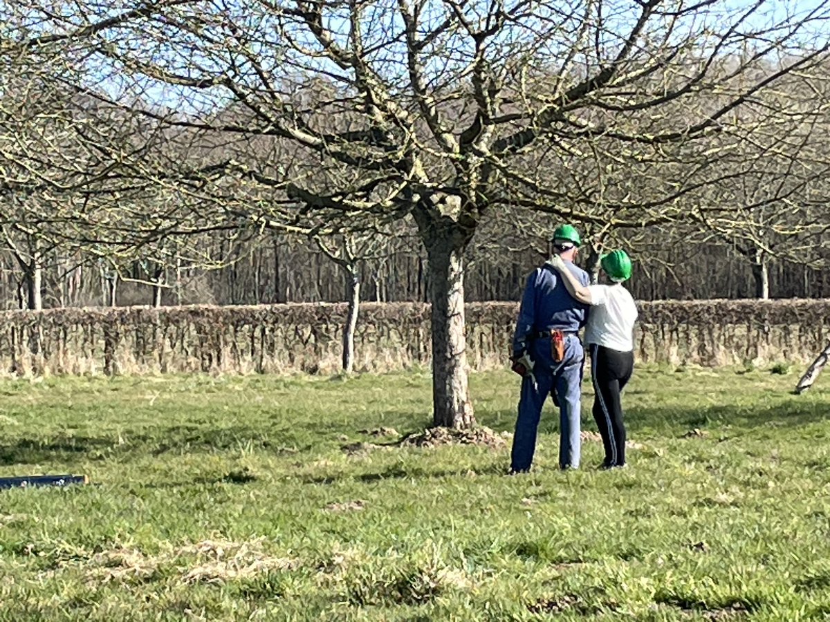 Liefde voor het Landschap tijdens hoogstamsnoeikamp van Vobula.