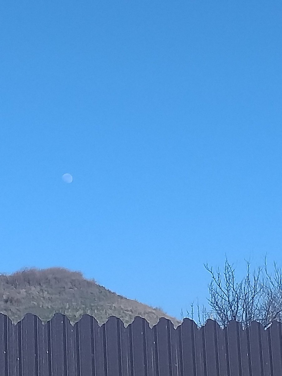 eriesence's tweet image. 