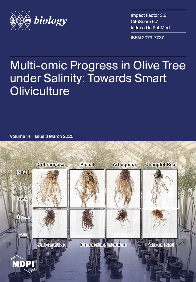 Ǥợɲƶąḽǫ ≈ ∫ϕx∂x✍ 🟥🟨🟪 (@mgclaros) on Twitter photo Our review about olive tree responses to #salinity has been selected as issue cover in Biology
<a href="/AbioticStress/">Abiotic stress in plants (Green Survivors)</a> <a href="/PlantRedox/">RedoxInPlants</a> <a href="/IHSM_CSIC_UMA/">IHSM La Mayora</a> <a href="/EEZCSIC/">Estación Experimental del Zaidín (CSIC)</a>
mdpi.com/2079-7737/14/3 Our review about olive tree responses to #salinity has been selected as issue cover in Biology
<a href="/AbioticStress/">Abiotic stress in plants (Green Survivors)</a> <a href="/PlantRedox/">RedoxInPlants</a> <a href="/IHSM_CSIC_UMA/">IHSM La Mayora</a> <a href="/EEZCSIC/">Estación Experimental del Zaidín (CSIC)</a>
mdpi.com/2079-7737/14/3
