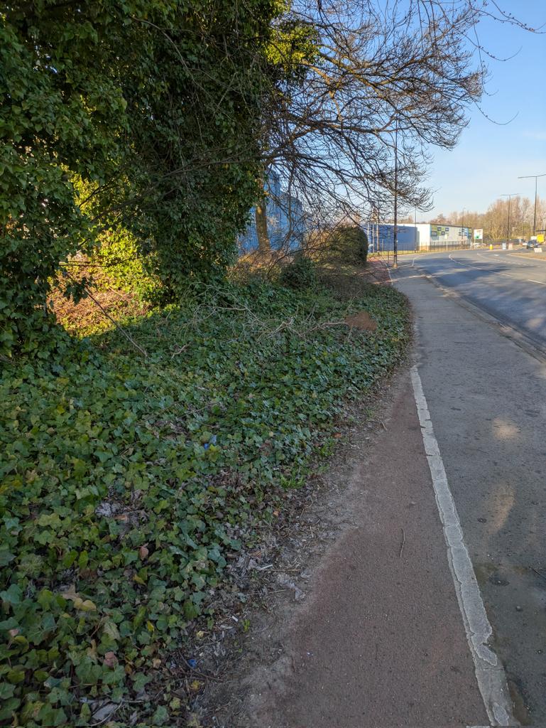 Andy (@lets_getcycling) on Twitter photo It's great that <a href="/TraffordCouncil/">Trafford Council</a> have a plan to build a joined up cycle network but can we main the cycle routes that you have already? It's great that <a href="/TraffordCouncil/">Trafford Council</a> have a plan to build a joined up cycle network but can we main the cycle routes that you have already?
