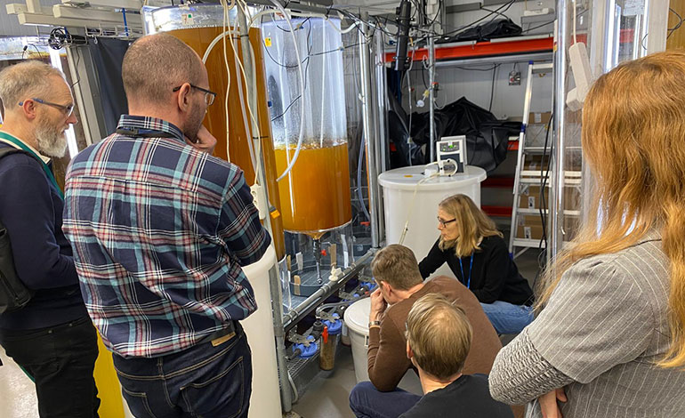 ProjectSAFEeu tweet media