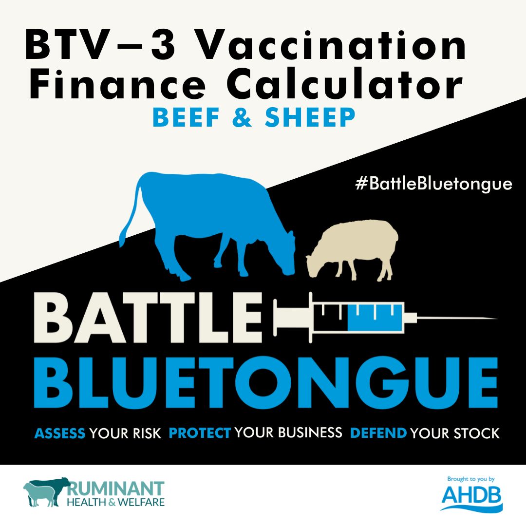 Latest news: BTV-3 Vaccination finance calculator launched by <a href="/TheAHDB/">AHDB</a> to help #BattleBluetongue 

bit.ly/4kJFe5t