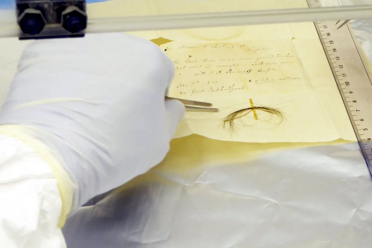 MashableTR's tweet photo. 🧬 Beethoven'ın saçındaki DNA 200 yıl sonra bir sürprizi açığa çıkardı

Ölümünden yaklaşık iki asır sonra yapılan DNA analizi ile ölüm nedeninin hepatit B olduğu ortaya çıkan Beethoven'ın sağırlığı hâlâ gizemini koruyor.

Soy ağacında ise bir sürpriz var.

https://t.co/HaSE4ylUBo https://t.co/BBriW0faAt