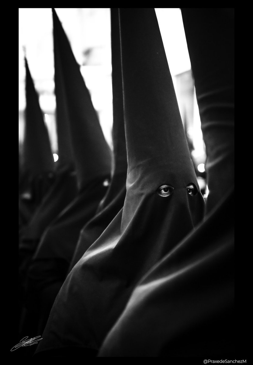 PraxedeSanchezM's tweet image. 