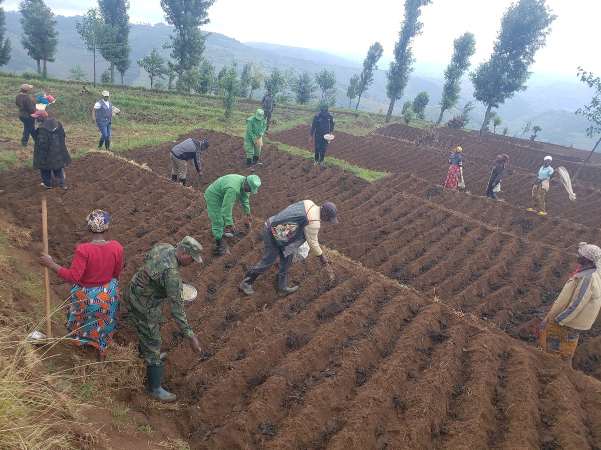 Gicumbi District tweet media