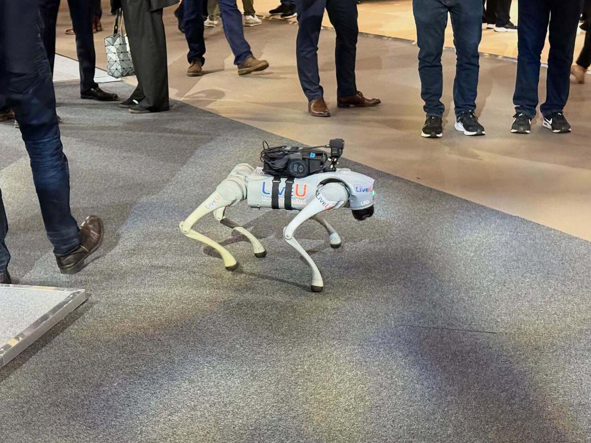 Timothy_Hughes's tweet image. Robots @oraclecloudworld #oraclecloudworld #oraclecloudworld2025 #oracle #oraclecloud #cloud #cloudcomputing #robotics #SaaS #artificialintelligence #artificialintelligence #artificial_intelligence #robotic #dlaontour #socialselling #digitalselling #exce… instagr.am/p/DHaqI9MNxy1/