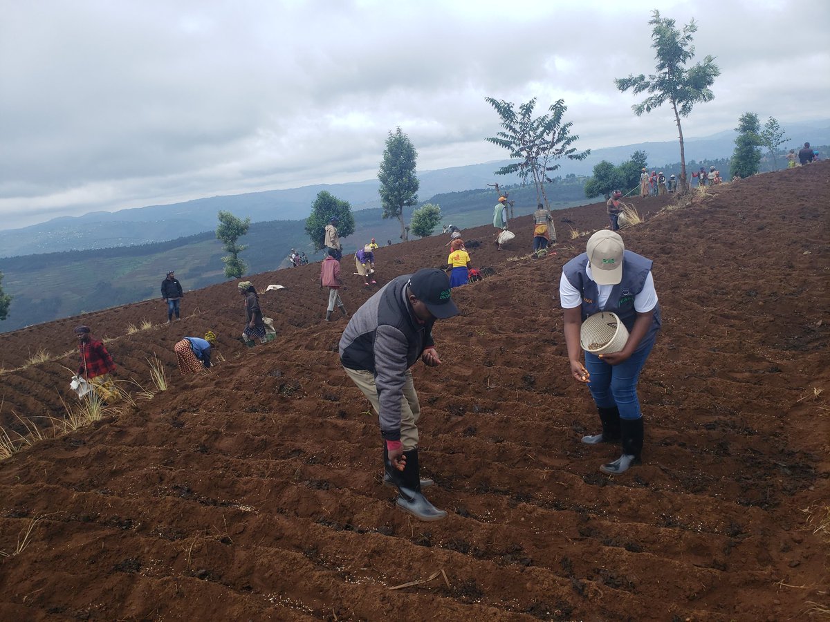 Gicumbi District tweet media