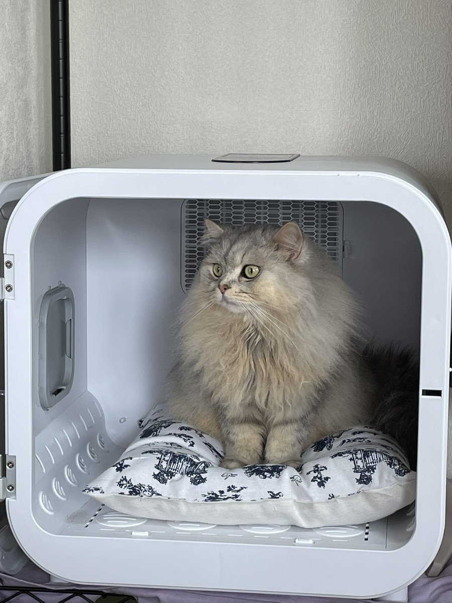 ドライヤーボックス
意外と気に入ってる？