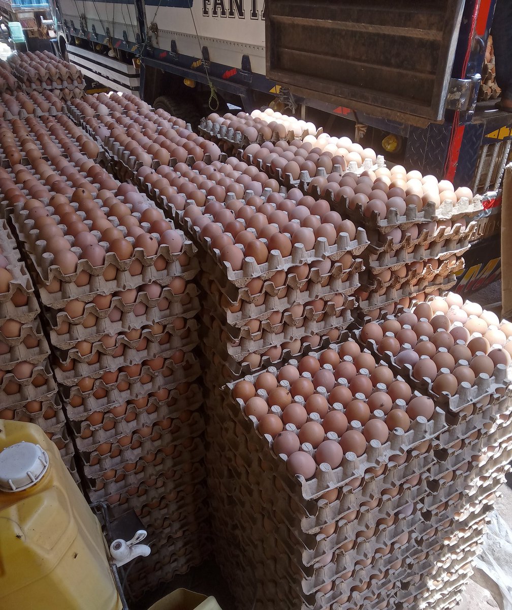 We are a call away for your bulk orders. 
0751-84-87-84.