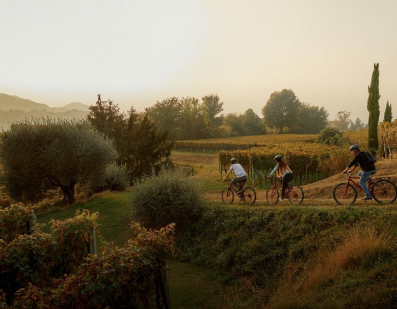 MENDRISIOTTO – Apertura stagionale Parco Archeologico di Tremona, esperienze in famiglia e tre offerte da non perdere!
tipsweek.ch/mendrisiotto-a…