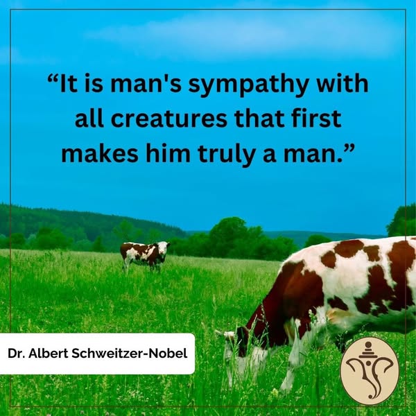 vedantausa's tweet photo. "It is man's sympathy with all creatures that first makes him truly a man."​
Dr. Albert Schweitzer-Nobel​
​
Citations Tributes Quotes​
By A. Parthasarathy​
​
#Compassion #crueltyfree #GoVegan https://t.co/UTCytw3Lj6
