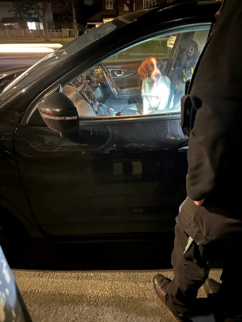 MPSWelling's tweet image. 🚨Who let the dogs out? (We did!)🚔
Officers pulled over a vehicle and due to suspicion of drug supply had assistance from the Dogs unit. A search of the male and vehicle resulted in drugs being seized and the male processed 🐕