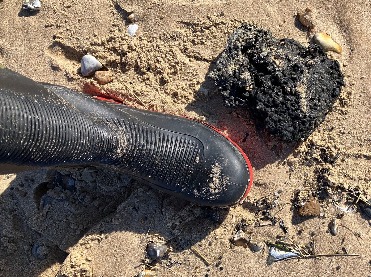 Precious wildlife is at risk after a ship collision on the North Sea. 

I spoke to the Norfolk National Trust to find out what the plans are to protect our coasts. 

Story to come soon <a href="/UEA_journalism/">UEA Journalism</a> 

📸 picture credit: National Trust