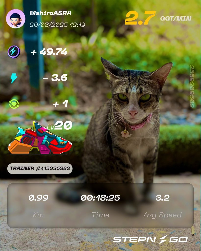 mahiro_pp's tweet image. 近所の人懐っこいネコさま🐱

STEPN GO GIFT BAG🧳
🔑G1117MsPy1sW
#STEPN 
#STEPNGO 
#stepnactivationcode