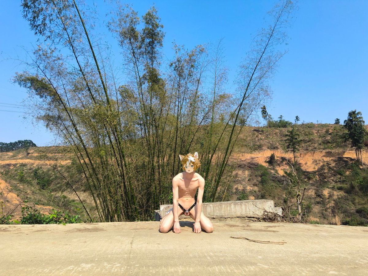 小狗出来晒太阳咯✌︎( ᐛ )✌︎