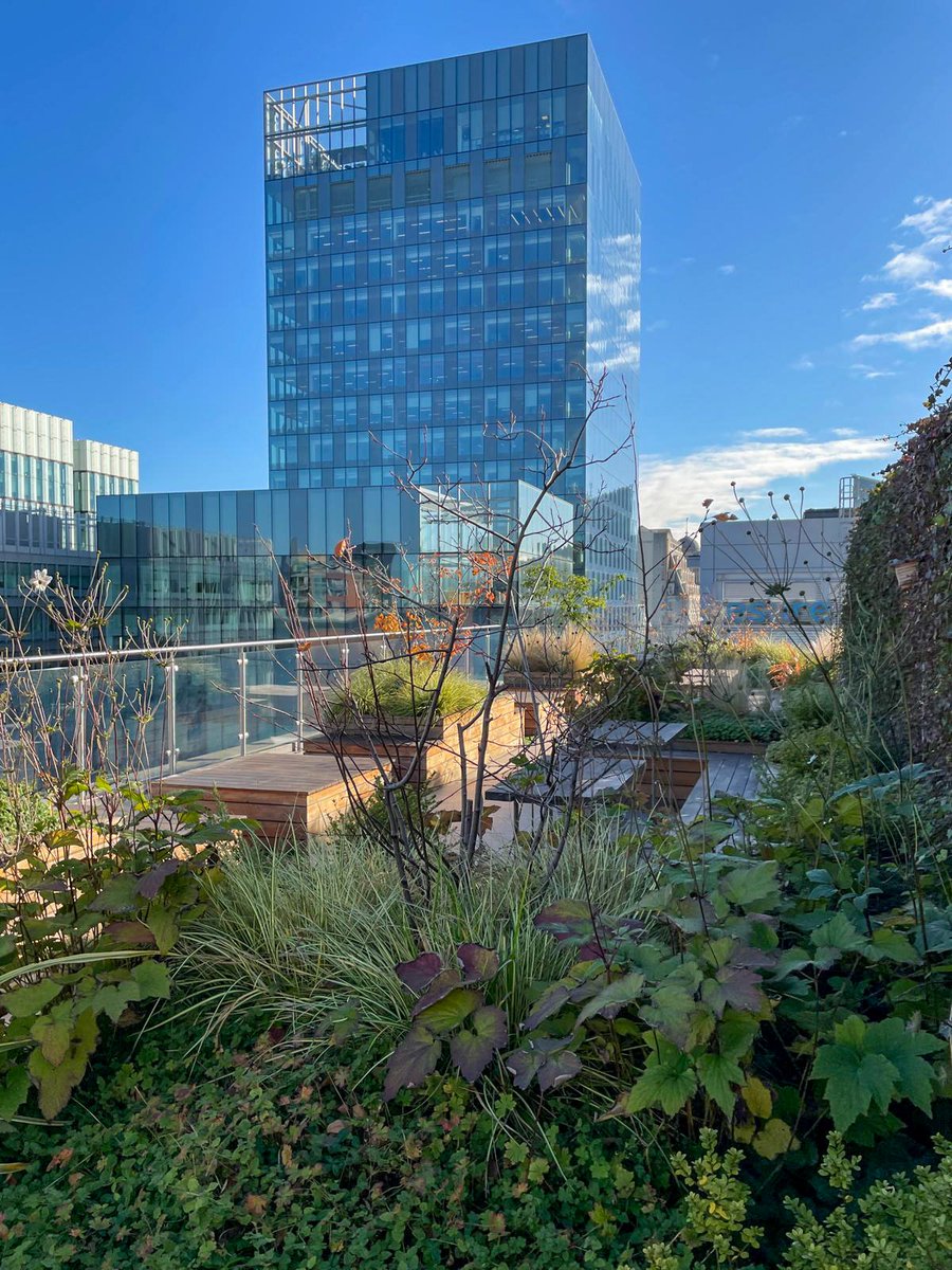Rooftop season is almost here 😍☀️

We’ve been touring Manchester’s top workspaces, and the rooftop spots are setting the bar.

Morning yoga, coffee in the sun, or after work drinks, these spaces make all the difference 🌇

If you’re looking for your next office, get in touch 📞