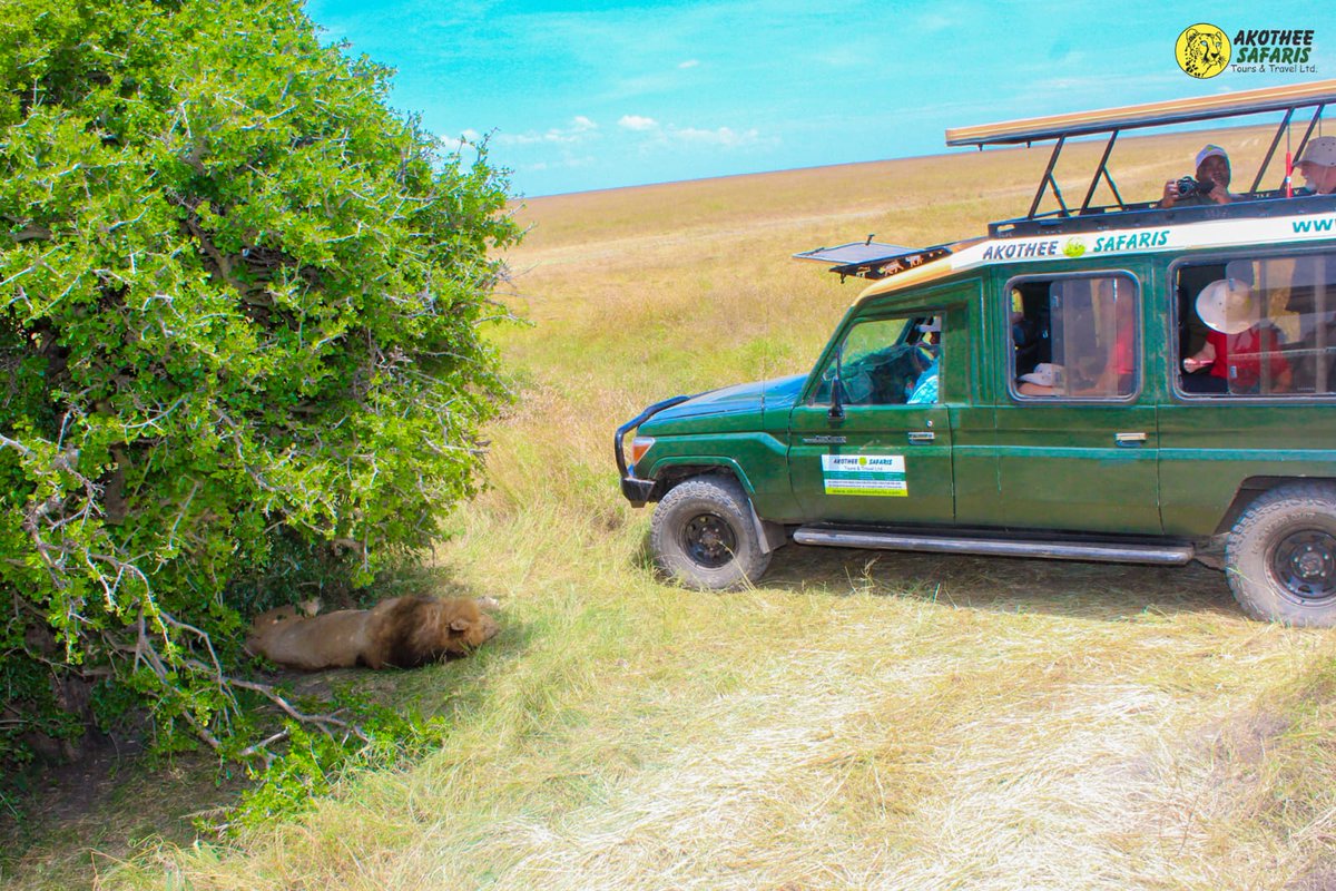 Akothee Kenya™ tweet media