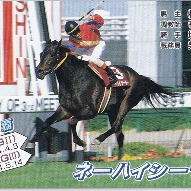現地単勝1994天皇賞秋 ネーハイシーザー100円 現地単勝 1994年 第