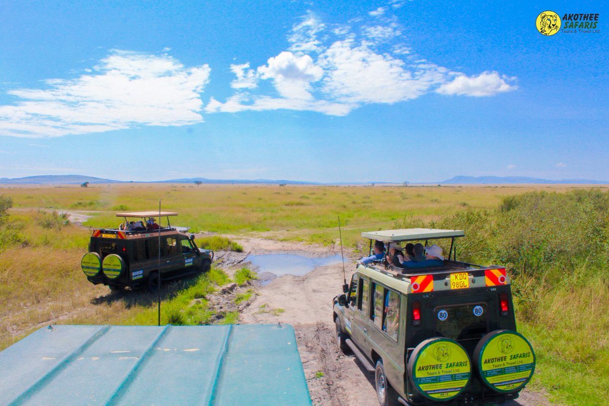 Akothee Kenya™ (@akotheekenya) on Twitter photo Family Getaway to the Land of the Big Five! 🐘🦁
<a href="/akotheesafaris/">AKOTHEE SAFARIS</a> has the perfect Maasai Mara packages for you! 🌍🐾
🏕 Sarova Mara Game Camp
🛏 2 Nights, 3 Days @ Ksh. 48,500 per person
🏡 Mara Sopa Lodge
🛏 2 Nights, 3 Days @ Ksh. 35,000 per person
📞 +254 707 019 960 Family Getaway to the Land of the Big Five! 🐘🦁
<a href="/akotheesafaris/">AKOTHEE SAFARIS</a> has the perfect Maasai Mara packages for you! 🌍🐾
🏕 Sarova Mara Game Camp
🛏 2 Nights, 3 Days @ Ksh. 48,500 per person
🏡 Mara Sopa Lodge
🛏 2 Nights, 3 Days @ Ksh. 35,000 per person
📞 +254 707 019 960