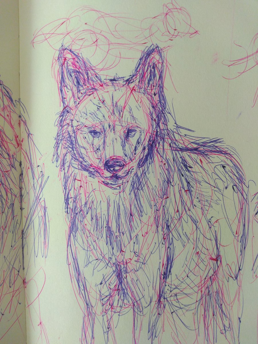 RoxRokuro's tweet photo. also made some wolf sketches too!
Referenced photos mostly from https://t.co/QzTWsbE4Li and iNaturalist
#penart #mangasketch #wolfart #wolf https://t.co/lc4qM8jXMv