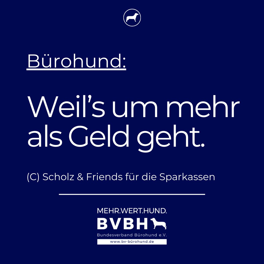 BV_Buerohund's tweet photo. Gutes Gehalt allein reicht nicht.
Langfristige Motivation braucht mehr.
Bürohunde fördern Kommunikation, reduzieren Stress & binden Teams – ein Benefit, der wenig kostet, aber viel bewirkt.
#Bürohund #MehrAlsGeld #Mitarbeitermotivation #Bindung #Recruiting https://t.co/0JDzNALoZq