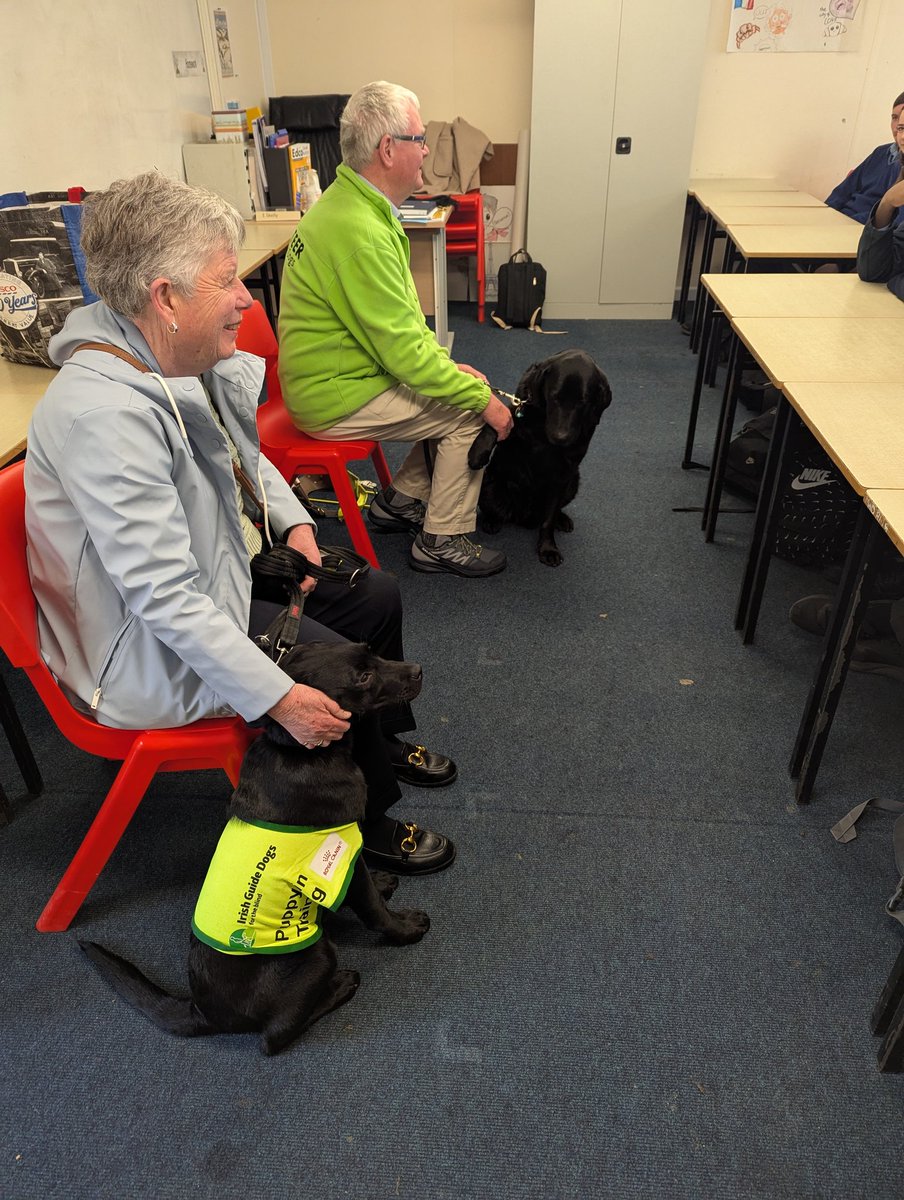 Katie Connolly (@katie_connolly4) on Twitter photo Huge thanks to Tom O'Neill & his guide dog Qeb and Anne Mulligan and her puppy-in-training Lulu for visiting our CSPE class to talk about <a href="/irishguidedogs/">Irish Guide Dogs for the Blind</a>! Students loved the chat and learned so much. Well done to Ciara & Leah for organising it as part of their CSPE CBA! 🐕👏🏼 Huge thanks to Tom O'Neill & his guide dog Qeb and Anne Mulligan and her puppy-in-training Lulu for visiting our CSPE class to talk about <a href="/irishguidedogs/">Irish Guide Dogs for the Blind</a>! Students loved the chat and learned so much. Well done to Ciara & Leah for organising it as part of their CSPE CBA! 🐕👏🏼