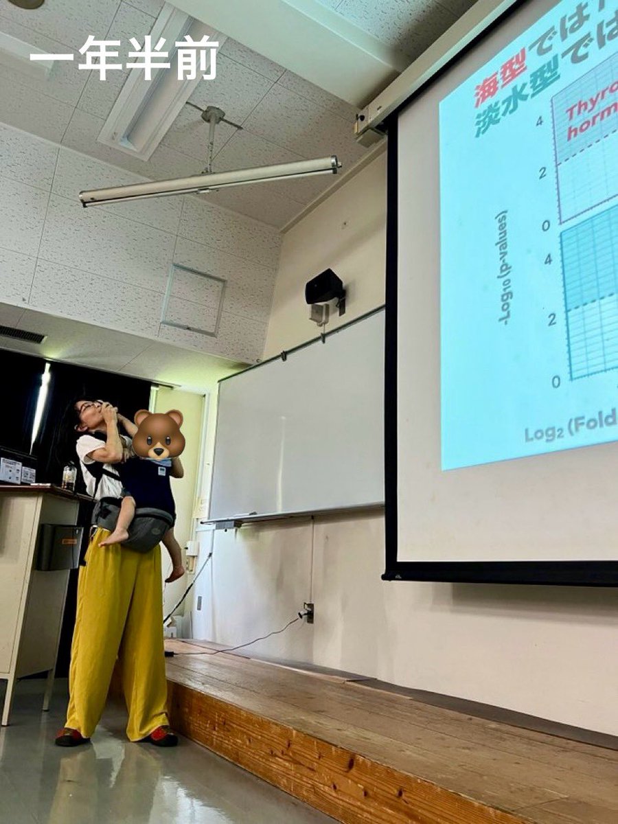 無事、生態学会札幌大会で『生態学者が子を抱えて（特に種間相互作用に関して）がっつり研究発表する！』を終えました👶🐛🪰🐟🦌👧

一年半前に発表中だっこでマイクを齧った子は、キッズエリアで1人遊び👏
前方に👶🧒８名、後方にチラホラ。時に子供が飛ばした紙飛行機が会場を賑わせました！

#esj72