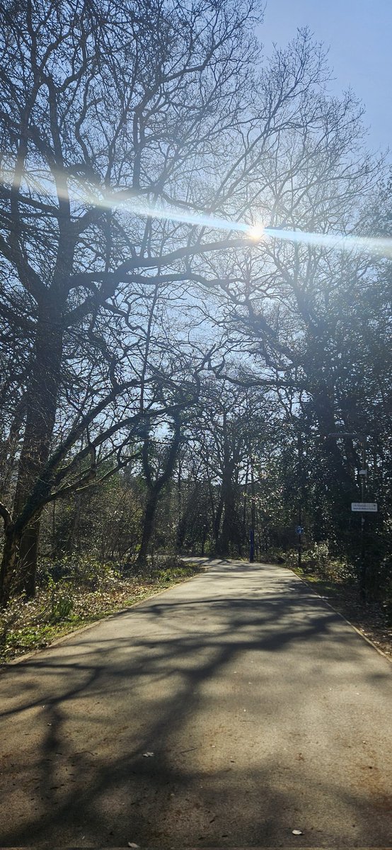 DrRianneLord's tweet image. I love @uniofwarwick campus 😍
A beautiful walk over to IBRB to the first Warwick Creative Science Symposium !