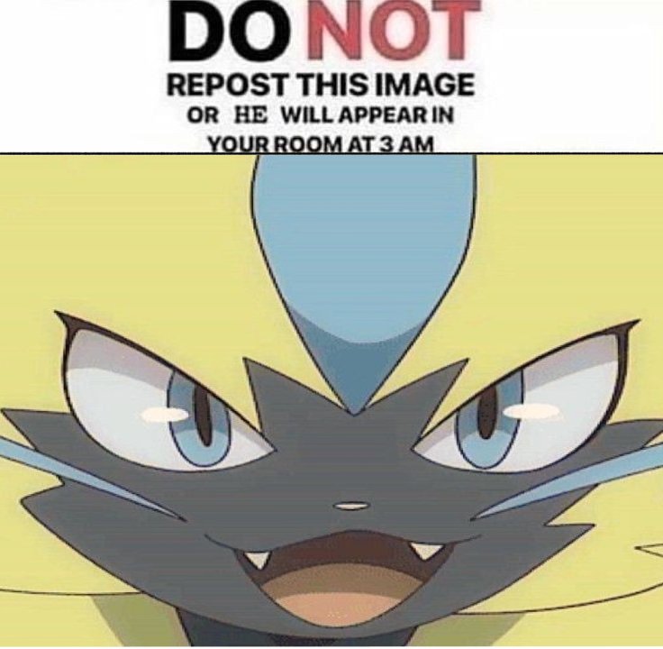 Daily Zeraora (@dailyzeraora) on Twitter photo 