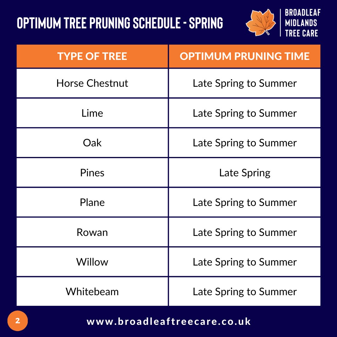BMTCArborists's tweet image. 🌸 Happy Spring Equinox! Now’s the time to prune trees like oak and cypress to promote stronger growth. 🌿

👉 Get expert advice in our free pruning guide. 

zurl.co/iiFxR 

#TreeCare #SpringPruning #HealthyTrees #BroadleafTreeCare