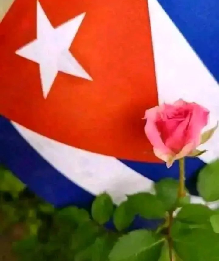Yaramsi3's tweet photo. 🇨🇺 A Cuba hay que vivirla, quererla y defenderla...
#CubaEnRed 
@DeZurdaTeam_ https://t.co/paOXfqyQ5z