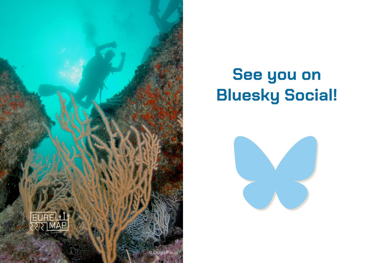 find us at @euremap.bsky.social