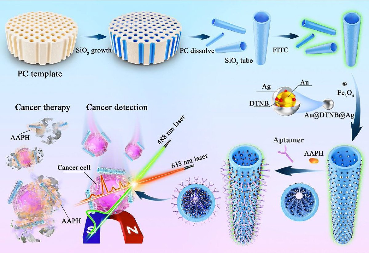 A new silicon-based micromotor (SiMMs) has been developed for  drug delivery and targeted cancer therapy, combining magnetic and heat-based treatments to realize magnetic hyperthermia-free radical synergistic therapy!🧐
#cancer 
<a href="/BiomedNano/">Nano Biomed. Eng.</a> <a href="/SciOpenTUP/">SciOpenTUP</a> 
sciopen.com/article/10.265…